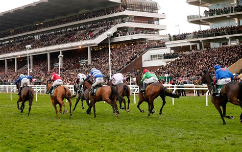 cheltenham racecard 2023|runners at cheltenham races today.